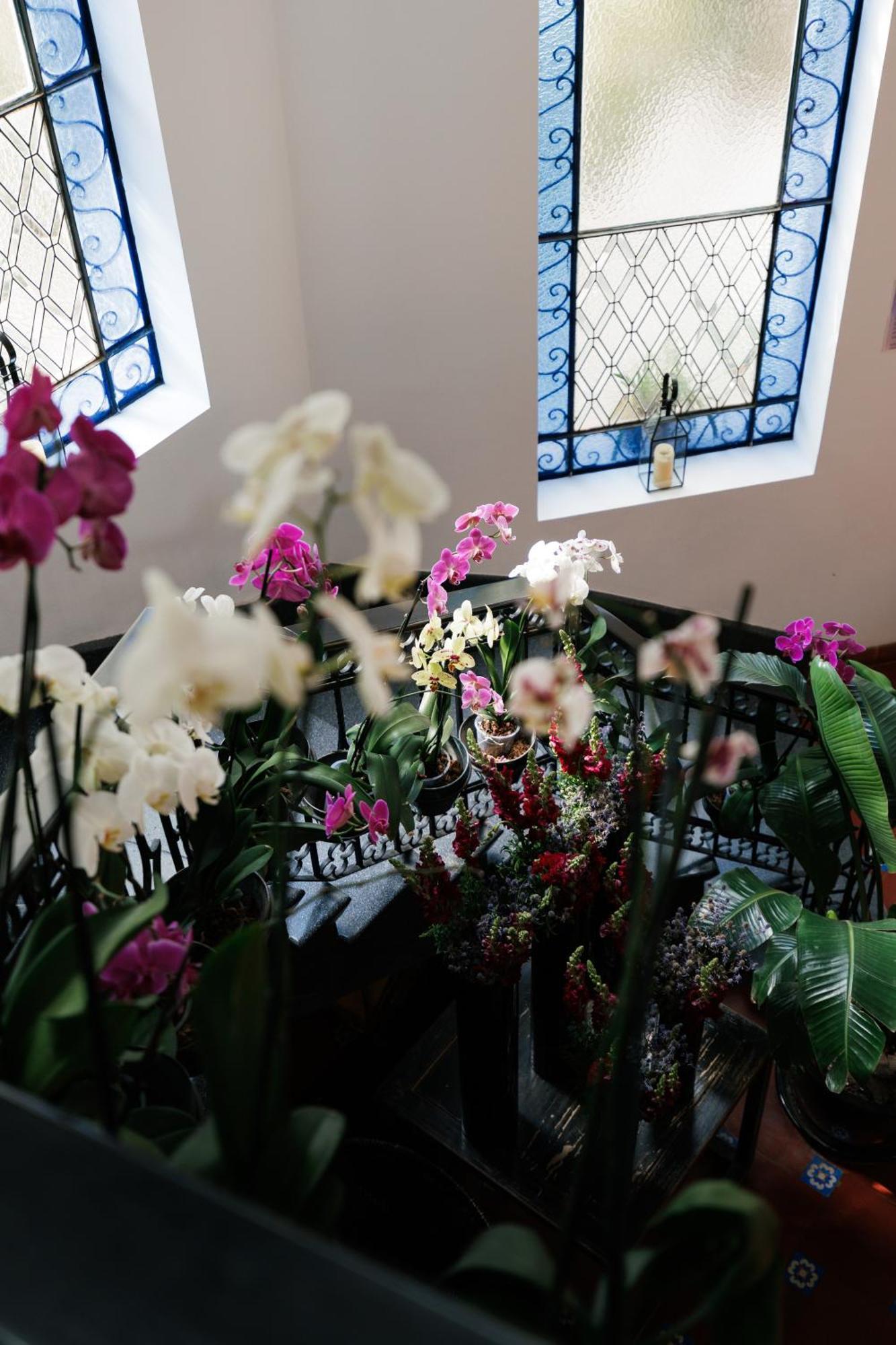 Orchid House Polanco 5*