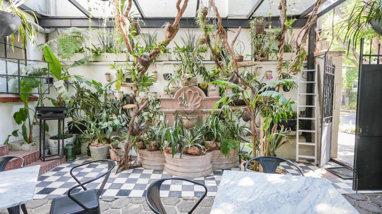 Hotel Orchid House Polanco Mexico