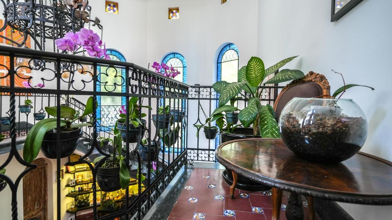 Orchid House Polanco Mexico