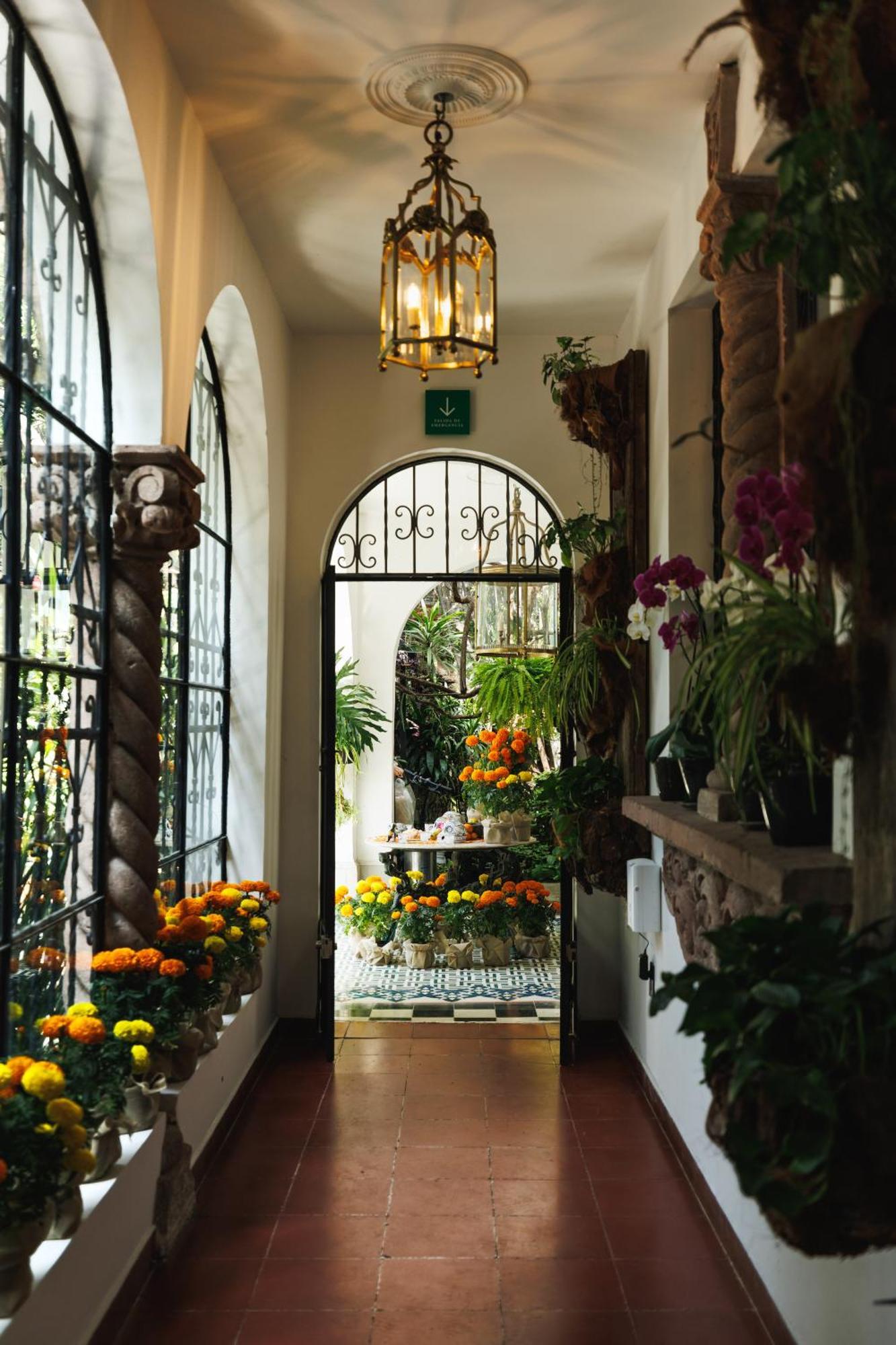 Hotel Orchid House Polanco Mexico